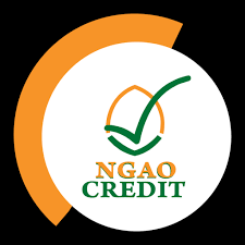 Ngao Credit Limited logo
