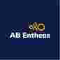 AB Entheos logo
