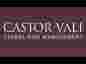 Castor Vali logo