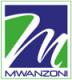 Mwanzoni Ltd logo
