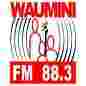Radio Waumini logo