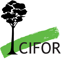 Center for International Forestry Research CIFOR logo