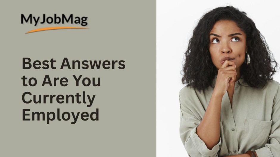 25 Best Responses to Are You Currently Employed