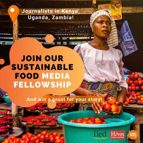 Sustainable Food Stories Fellowship! | Climate Tracker