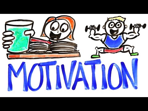 The Science Of Motivation